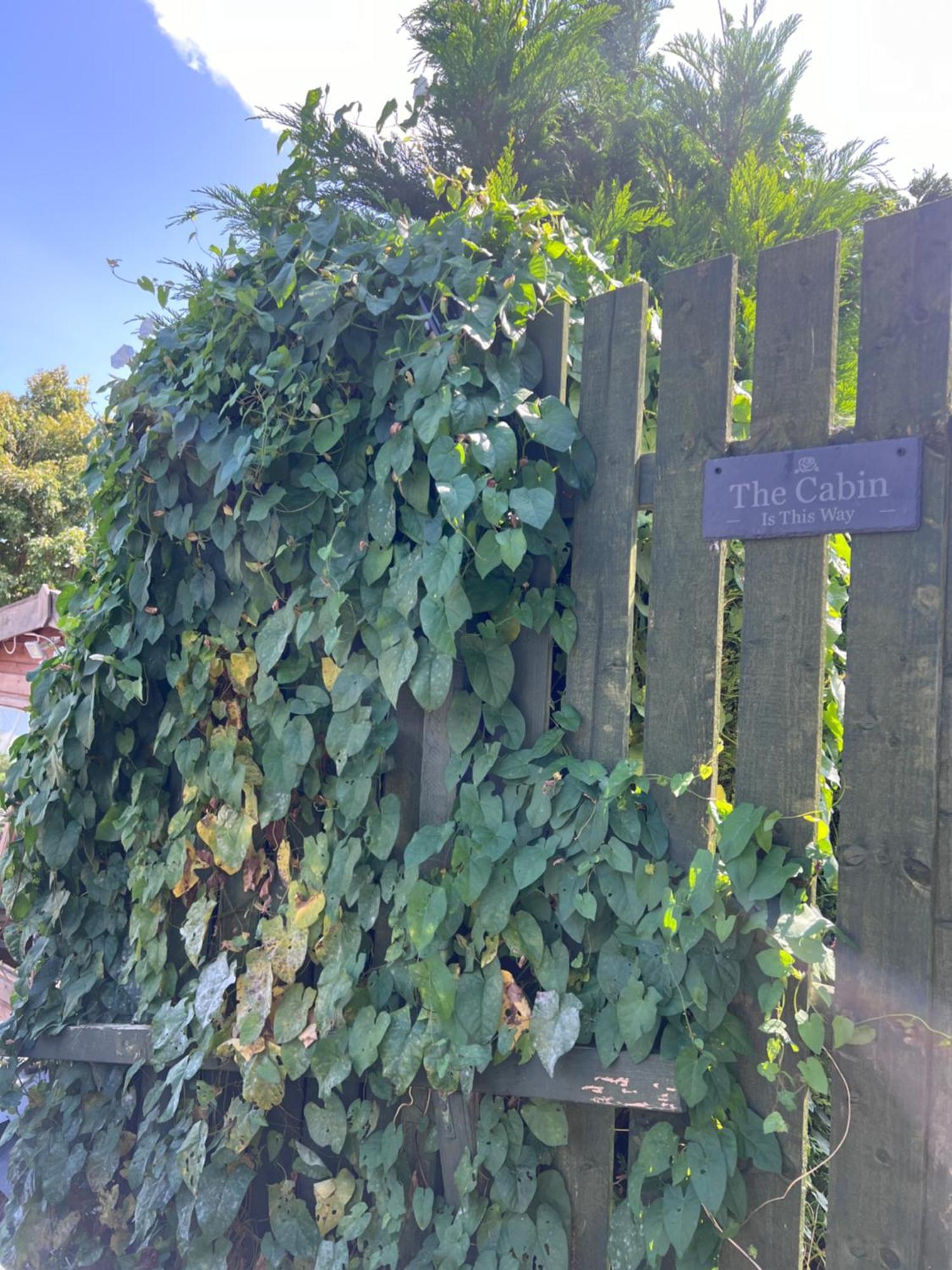 Bradford-On-Avon The Cabin מראה חיצוני תמונה